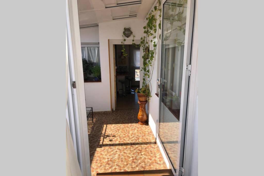 Atico Centro - 657452250 Apartment Malaga Exterior photo